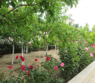 Satılır Villa, Abşeron.r, Novxanı-8