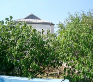 Pirşağıda bağ evi alqi satqisi, -1