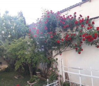 Satılır Villa, Səbail.r, Badamdar-9