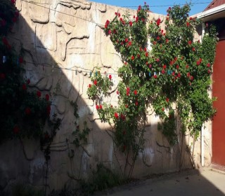 Zerife parkina ve Heyder mecidine yaxin ev almaq, -3