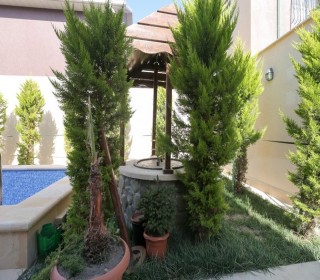 Satılır Həyət evi, Xəzər.r, Şüvəlan-5