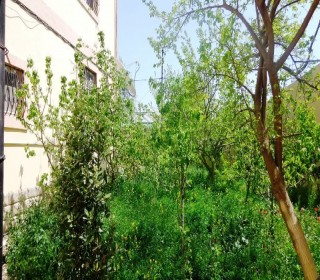 sulutepe temirli ev villa satisi, -15