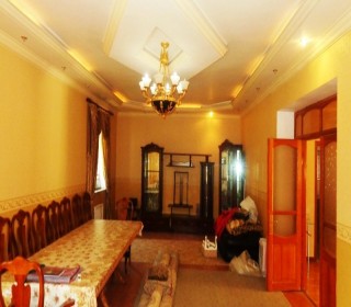 sulutepe temirli ev villa satisi, -19