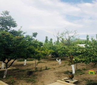 Satılır Villa, Abşeron.r, Novxanı-10