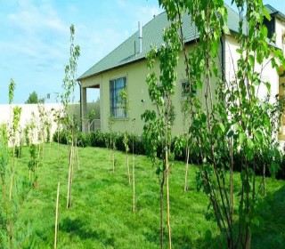 buzovnada satilan bag evi, -3