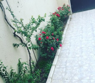 Satılır Həyət evi, Xətai.r, Əhmədli-11