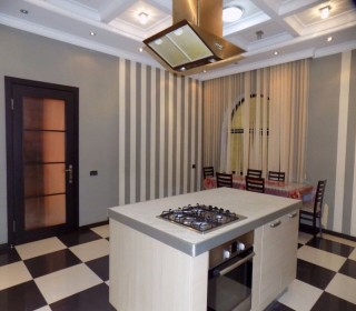 Kirayə (Aylıq) Villa, Nərimanov.r, Gənclik.m-13