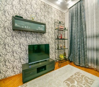 Kirayə (Aylıq) Villa, Səbail.r, Badamdar-13