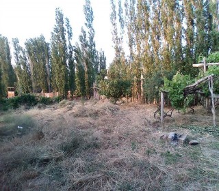 Satılır Torpaq, Binəqədi.r, Binəqədi-1