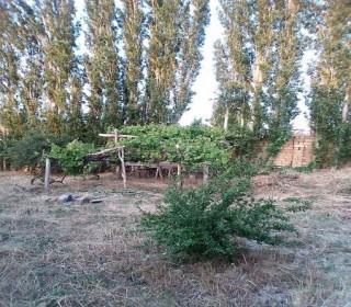 Satılır Torpaq, Binəqədi.r, Binəqədi-3