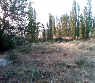 Satılır Torpaq, Binəqədi.r, Binəqədi-4