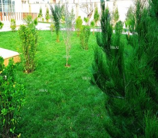 Satılır Həyət evi, Xəzər.r, Şüvəlan-16