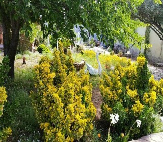 Satılır Villa, Sabunçu.r, Nardaran-12