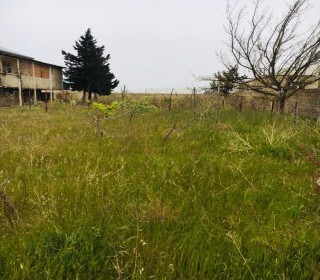 Satılır Həyət evi, Sabunçu.r, Maştağa-7