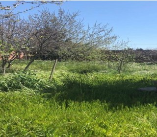 Satılır Həyət evi, Sabunçu.r, Maştağa-17