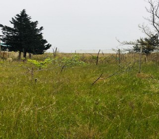 Satılır Həyət evi, Sabunçu.r, Maştağa-18