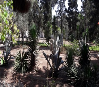 Satılır Villa, Xəzər.r-11