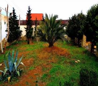 şüvəlan satilan bag evi, -19