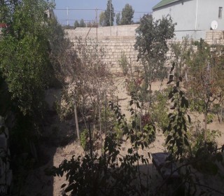 Satılır Həyət evi, Xəzər.r, Şüvəlan-2