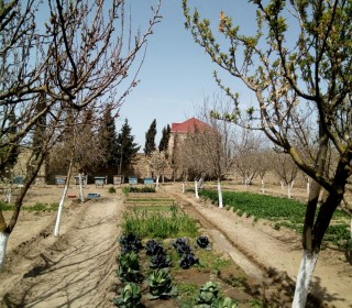 buzovnada evler, -11