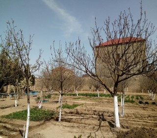 buzovnada evler, -13