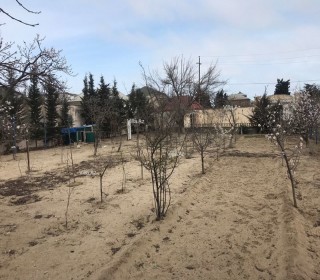 novxanıda məşhurların villaları, -19
