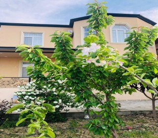 fatmaide satilan heyet evleri, -8