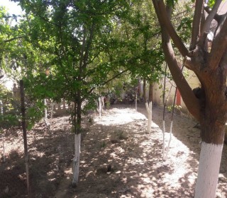 Zabrat qəsəbəsində ən gözəl yerində ev almaq. 9 sot, -10