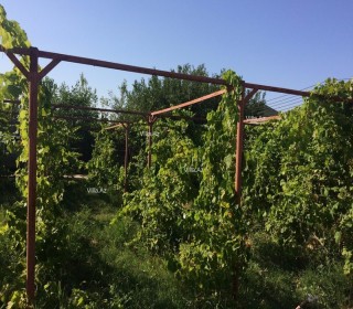 Kürdəxanıda bag evi satılır. Bakı Dairəvi yoluna 300 m məsafə, -2