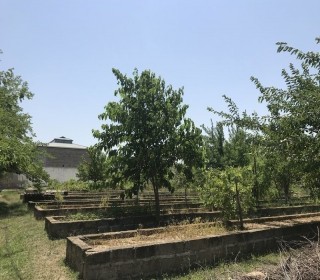 Satılır Həyət evi, Sabunçu.r, Pirşağı-2