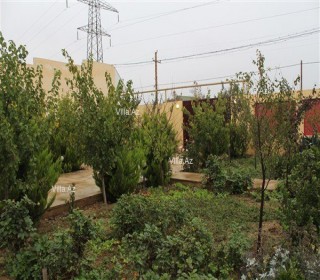 mərdəkan bağ almaq, -9