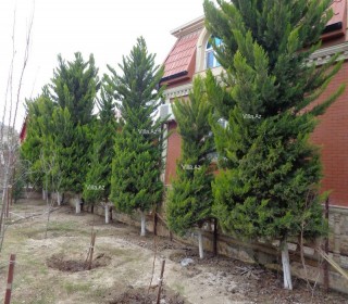 Ev villa almaq Bakı Hovsan 3429, -1