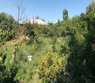 novxanıda yola yaxın bag evleri, -13