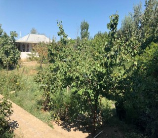 novxanıda yola yaxın bag evleri, -15