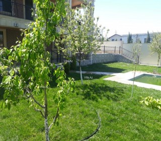 Satılır Villa, Abşeron.r, Novxanı-10