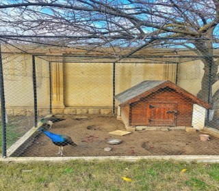 deniz menzereli villa novxanı, -12