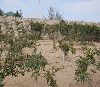 Satılır Həyət evi, Xəzər.r, Şüvəlan, Koroğlu.m-15