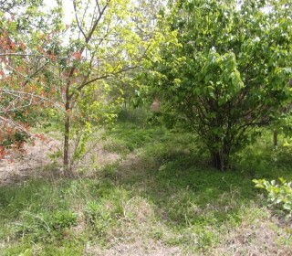 Satılır Torpaq, Yasamal.r, Yasamal, Elmlər Akademiyası.m-1
