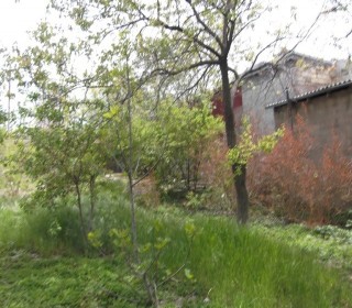 Satılır Torpaq, Yasamal.r, Yasamal, Elmlər Akademiyası.m-2