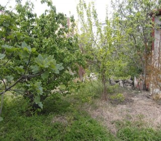 Satılır Torpaq, Yasamal.r, Yasamal, Elmlər Akademiyası.m-3