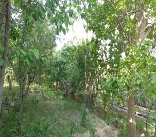 Satılır Torpaq, Səbail.r, Şıxov-3
