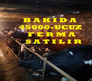 Satılır Obyekt, Abşeron.r, Ceyranbatan, 20 Yanvar.m-2