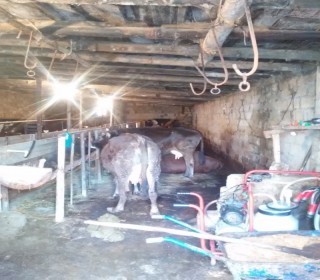 Satılır Obyekt, Abşeron.r, Ceyranbatan, 20 Yanvar.m-3