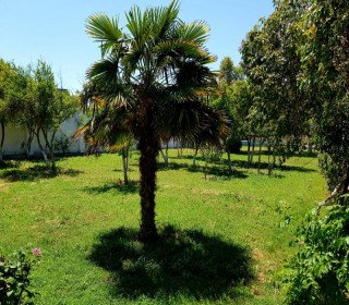 Satılır Villa, Xəzər.r, Mərdəkan-13