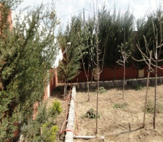 Satılır Həyət evi, Xəzər.r, Buzovna, Koroğlu.m-4