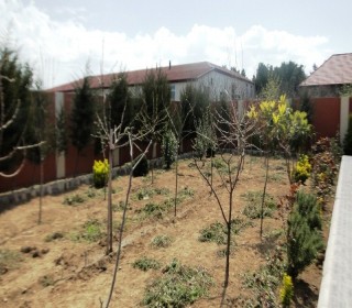 Satılır Həyət evi, Xəzər.r, Buzovna, Koroğlu.m-12