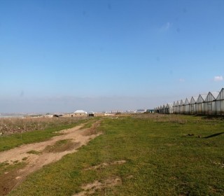 Satılır Torpaq, Sabunçu.r-6