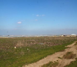 Satılır Torpaq, Sabunçu.r-16