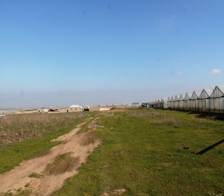 Satılır Torpaq, Sabunçu.r-18