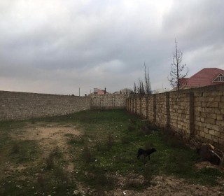 Satılır Torpaq, Xəzər.r, Şüvəlan-4